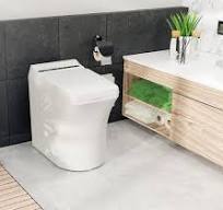 Cinderella Comfort Incinerating Toilet